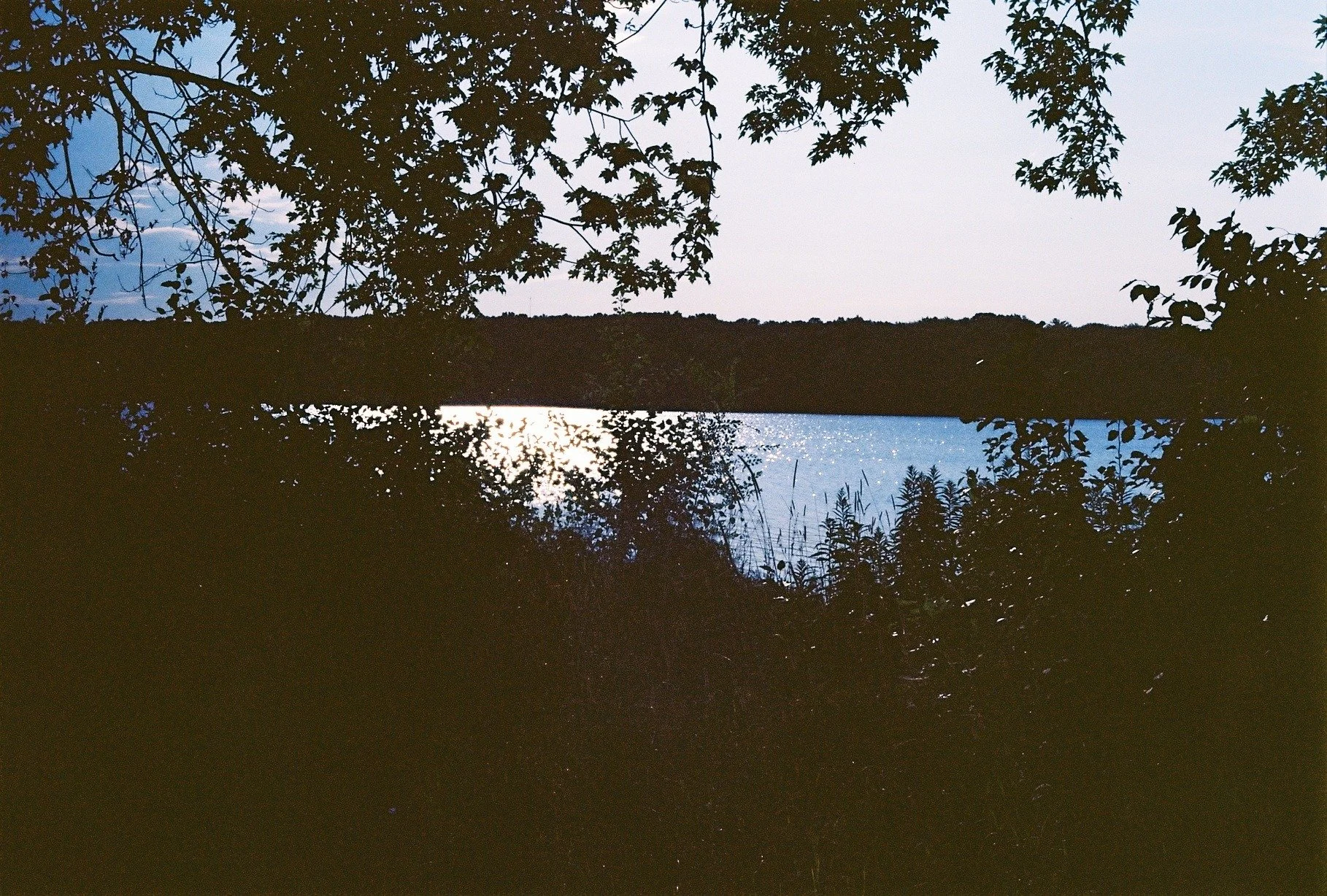 Kodak Ektar 100, Minolta SRT 201